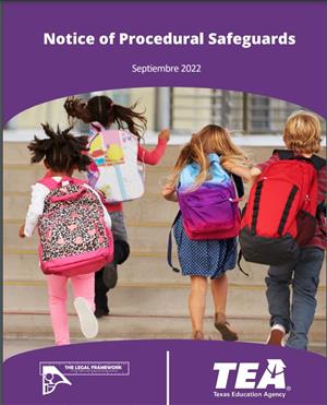 Spanish Procedural Safeguards